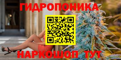 дмт Нальчик